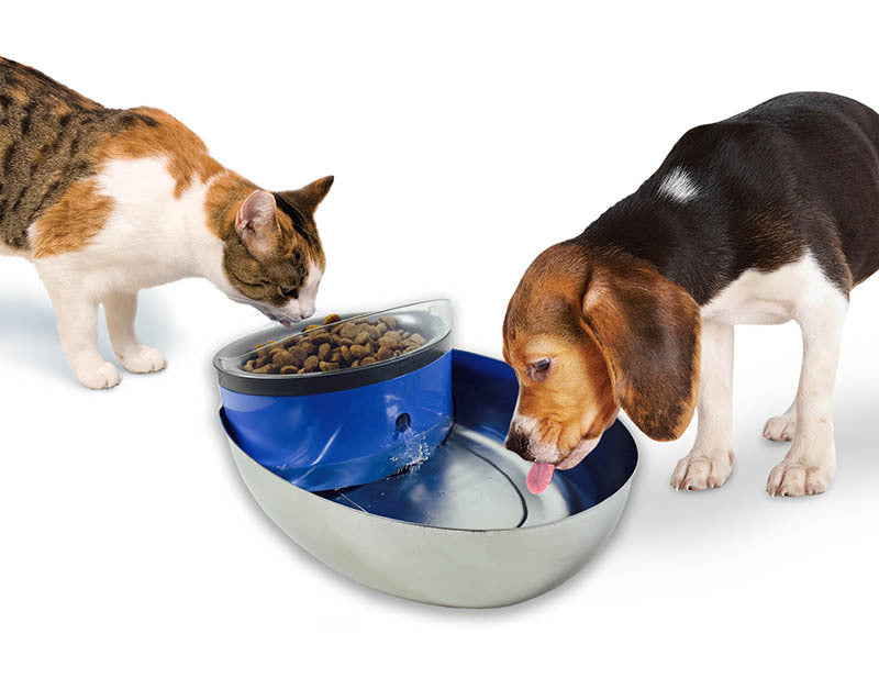 Pioneer Pet Food + Water Station Stainless Steel and Plastic Food Bowl Drinking Fountain