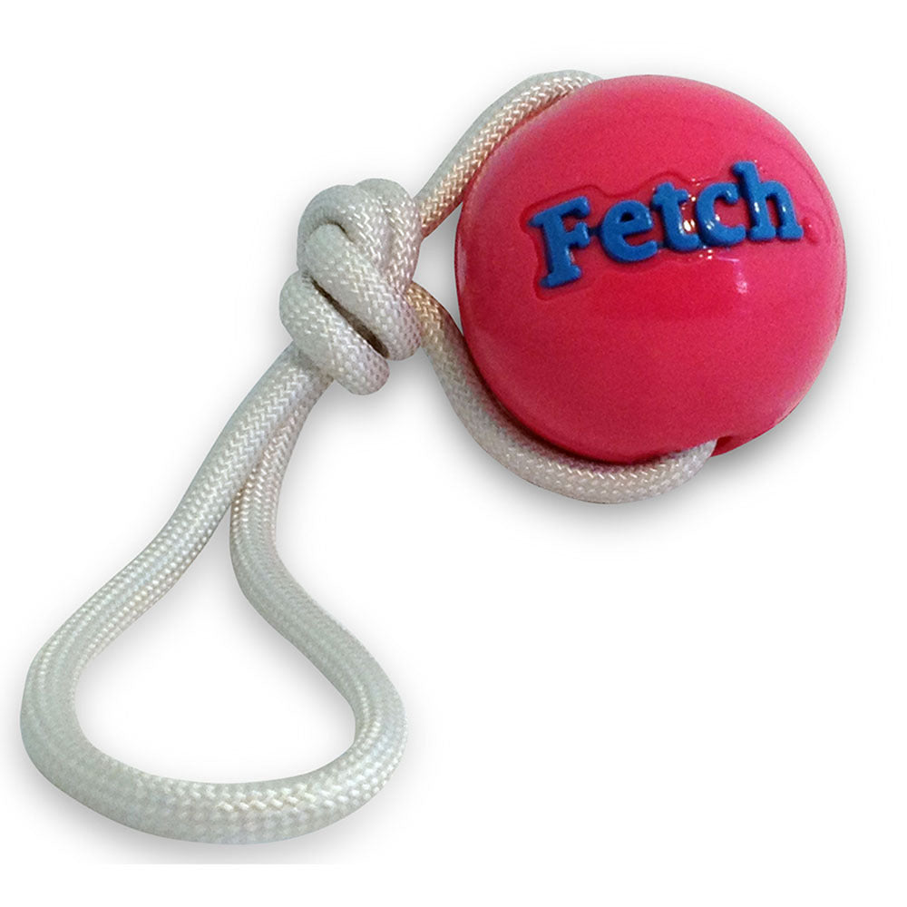 Planet Dog Orbee-Tuff Fetch Ball Dog Toy with Rope