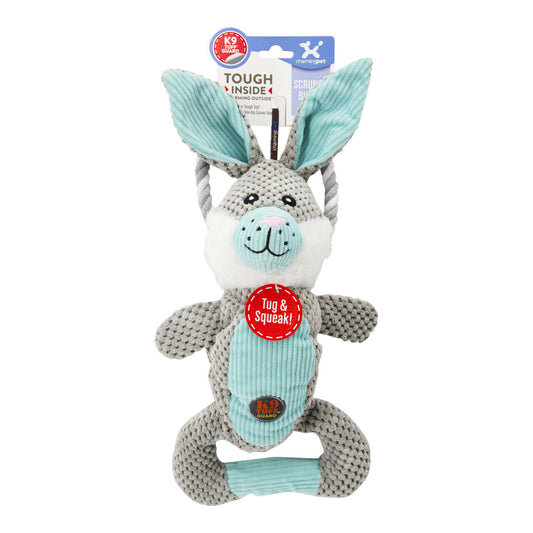 Charming Pet Scrunch Bunch & Squeak Dog Toy