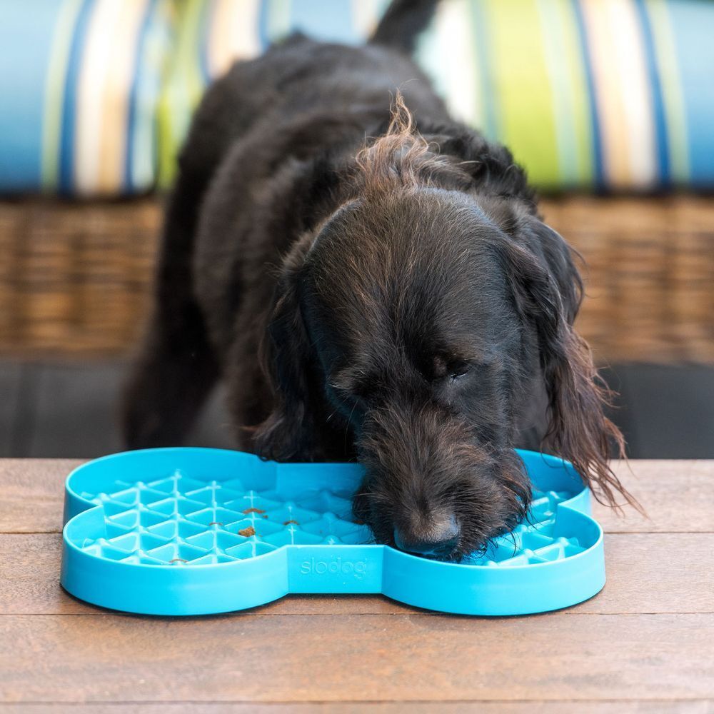 SloDog Slow Feeder Dog Plate