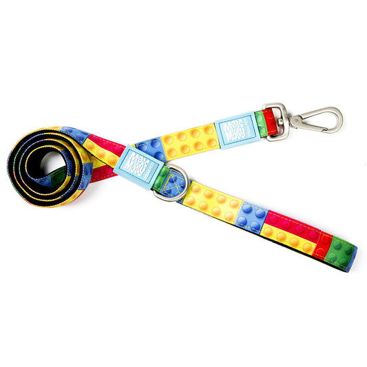 Max & Molly Dog Leash - Playtime