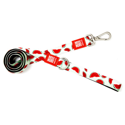 Max & Molly Dog Leash - Watermelon