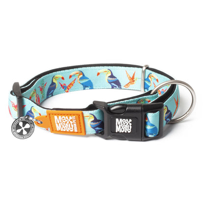 Max & Molly Smart ID Dog Collar - Paradise