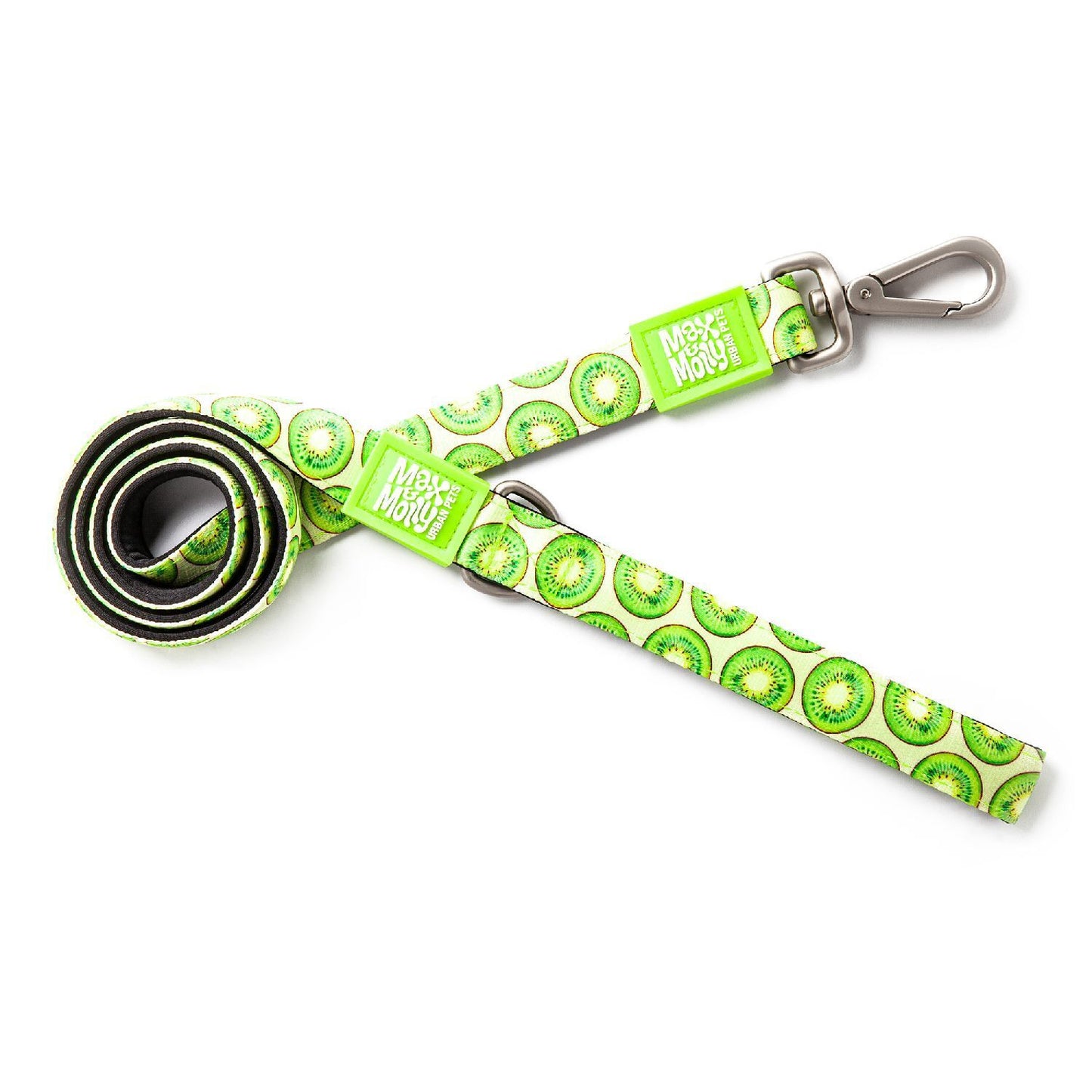 Max & Molly Dog Leash - Kiwi