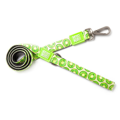 Max & Molly Dog Leash - Kiwi