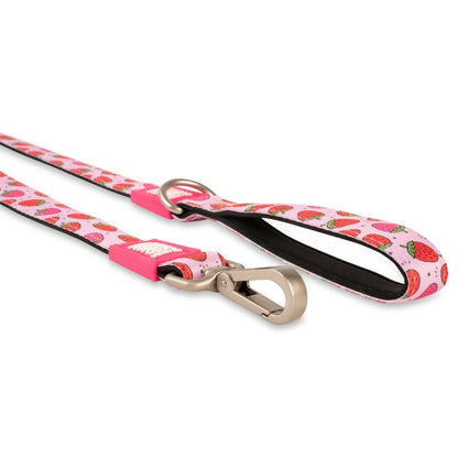 Max & Molly Dog Leash - Strawberries