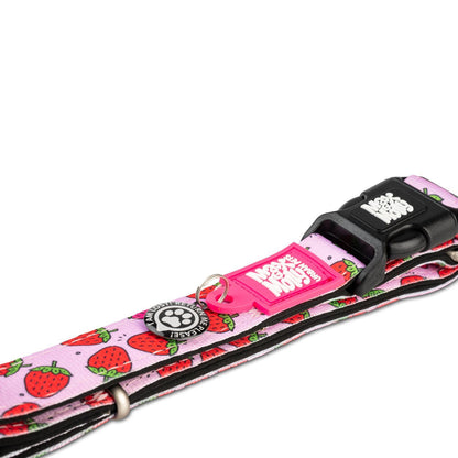 Max & Molly Smart ID Dog Collar - Strawberry Dream