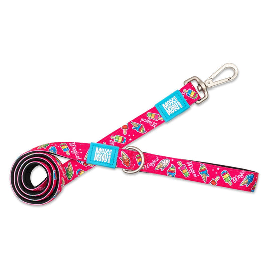 Max & Molly Dog Leash - Magical