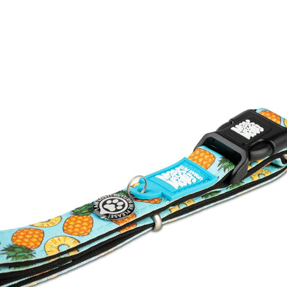 Max & Molly Smart ID Dog Collar - Sweet Pineapple