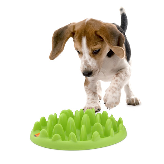 Northmate Green Mini Interactive Slow Feeder Dog Bowl