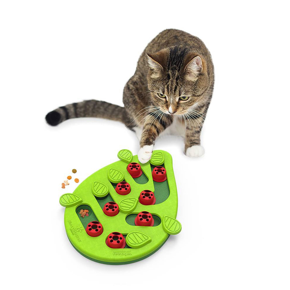 Nina Ottosson Buggin’ Out Puzzle & Play Treat Dispensing Cat Toy