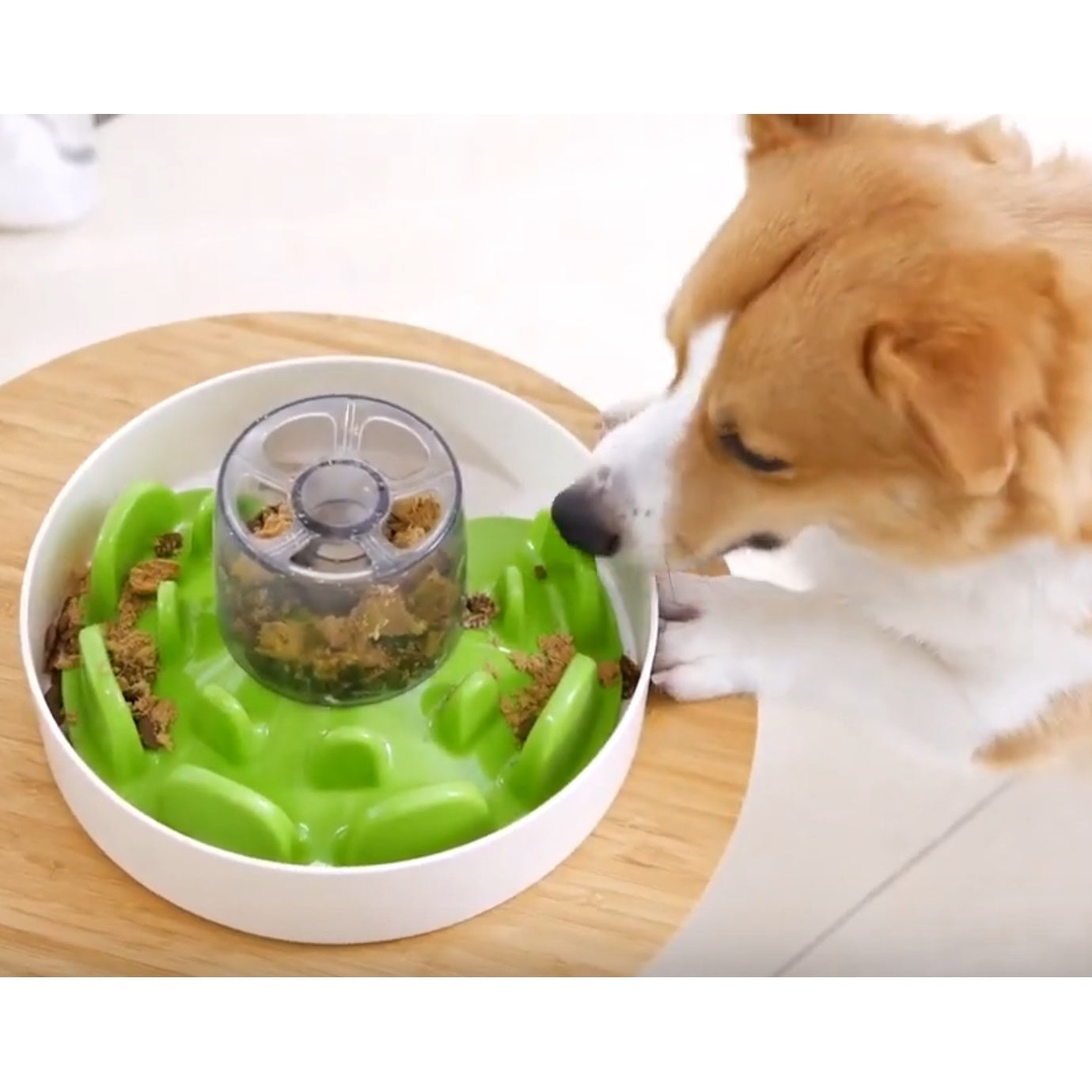 PetDreamHouse SPIN UFO Maze Interactive Slow Feeder Dog Bowl