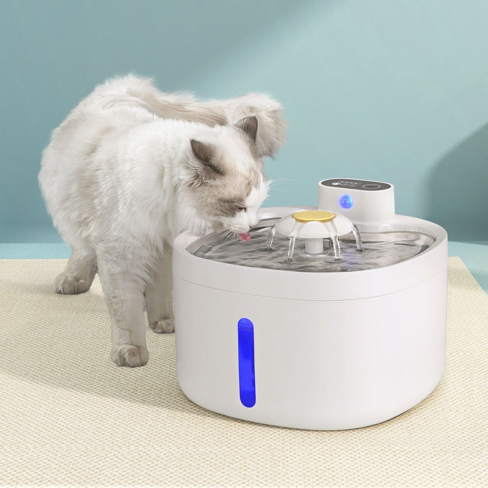 i.Pet Pet Water Fountain Feeder Dispenser Filter Dog Cat Drinking Automatic 2.6L - Mega Pet Store