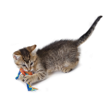 Petstages Dental Health Chews Cat Toys - Pack of 2 Toys