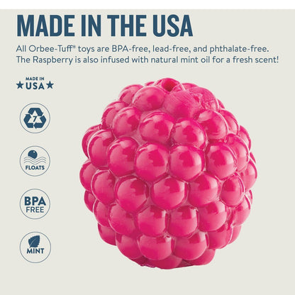 Planet Dog Orbee-Tuff Raspberry Treat Dispensing Dog Chew Toy