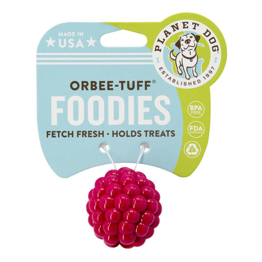 Planet Dog Orbee-Tuff Raspberry Treat Dispensing Dog Chew Toy