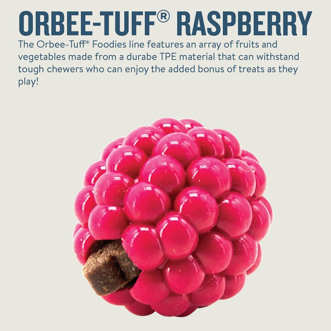 Planet Dog Orbee-Tuff Raspberry Treat Dispensing Dog Chew Toy