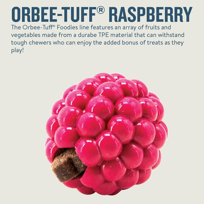 Planet Dog Orbee-Tuff Raspberry Treat Dispensing Dog Chew Toy