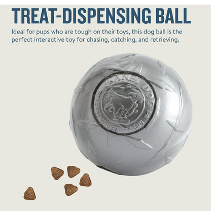 Planet Dog Orbee-Tuff Diamond Plate Treat-Dispensing Ball Dog Chew Toy