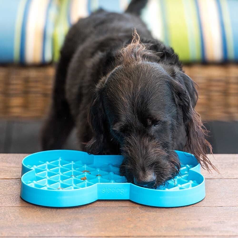 SloDog Slow Feeder Dog Plate