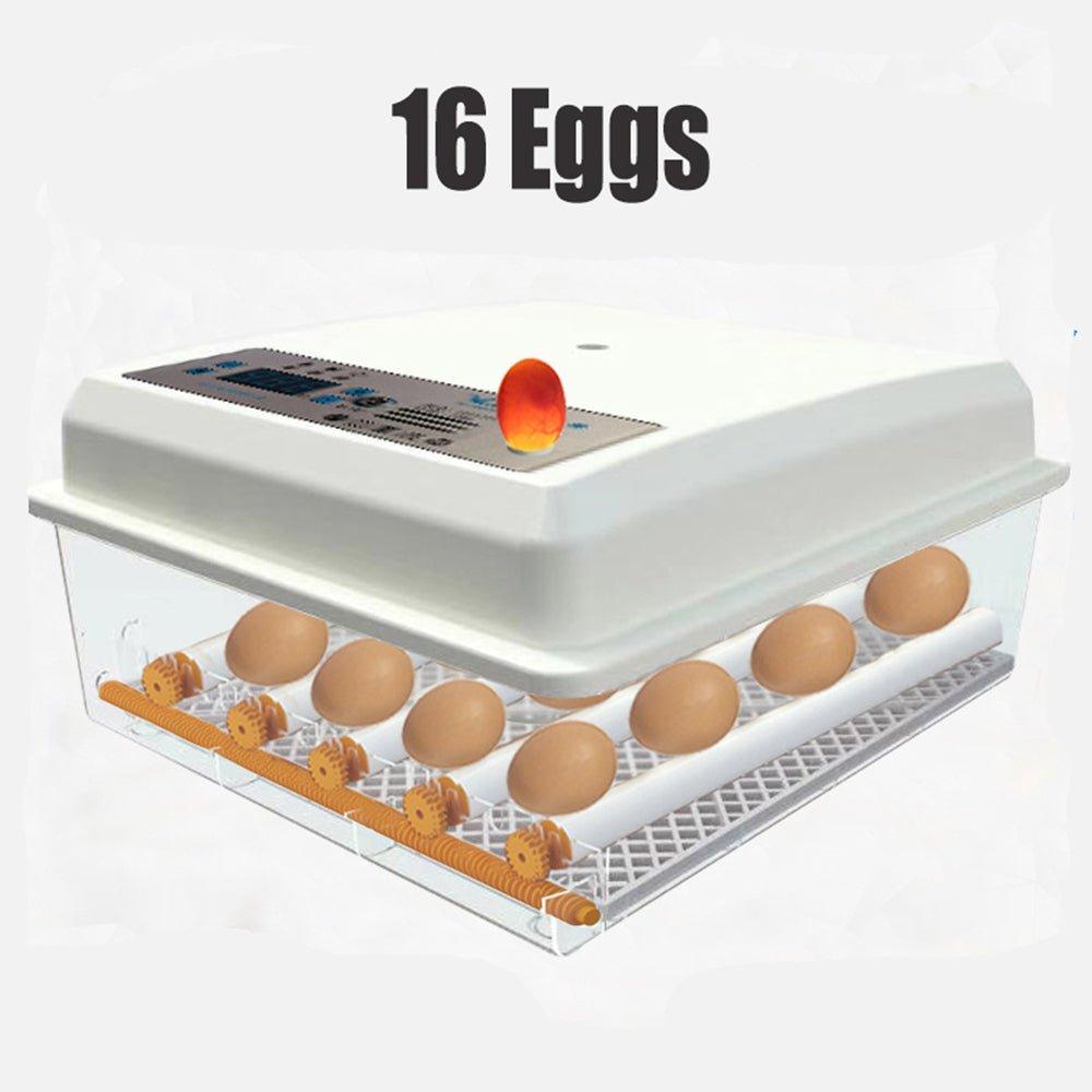 16 Egg Incubator Fully Automatic Digital Thermostat Chicken Eggs Poultry - Mega Pet Store