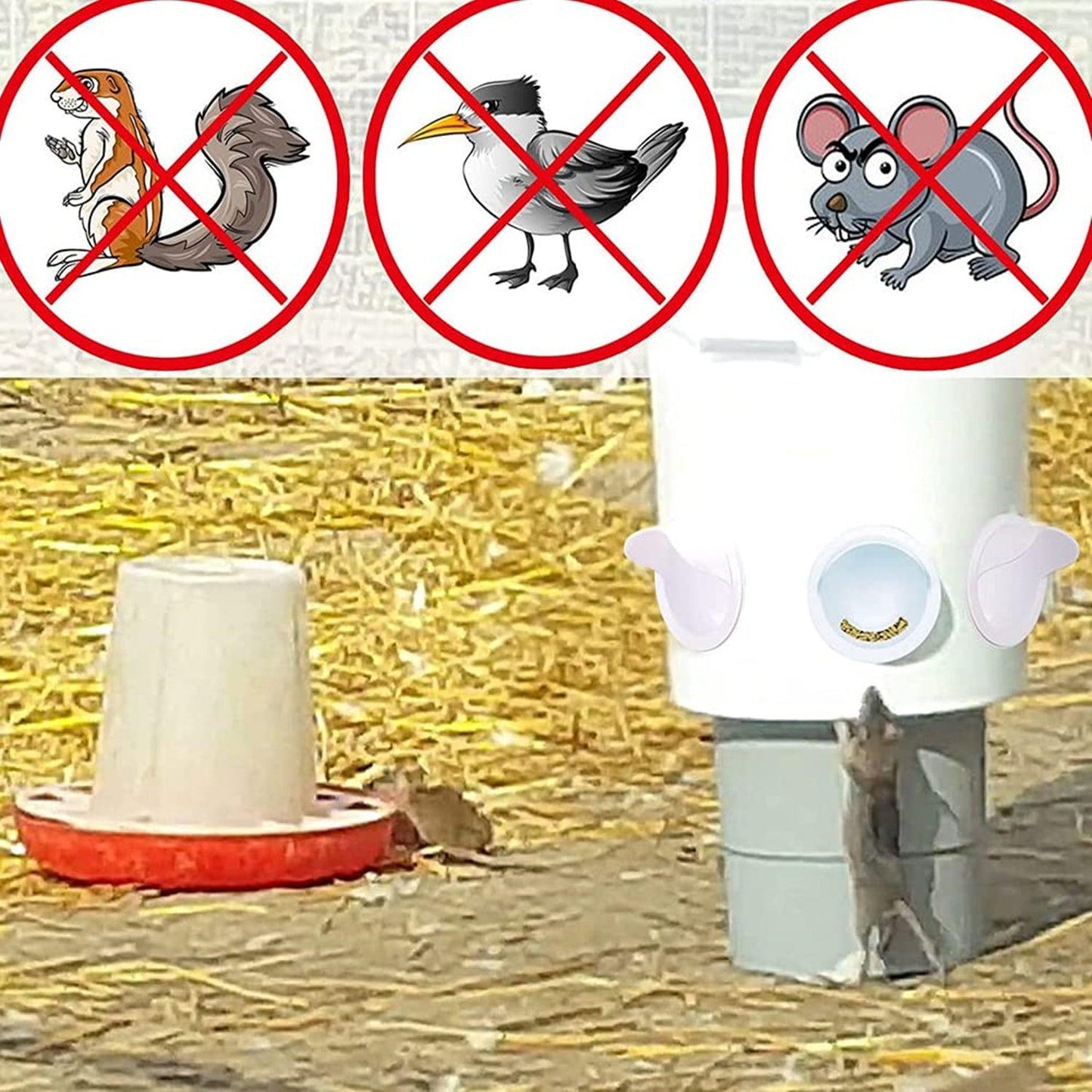 4 Port Chicken Feeder Poultry Feeder DIY Port PVC Gravity Fed Chicken Feeder - Mega Pet Store