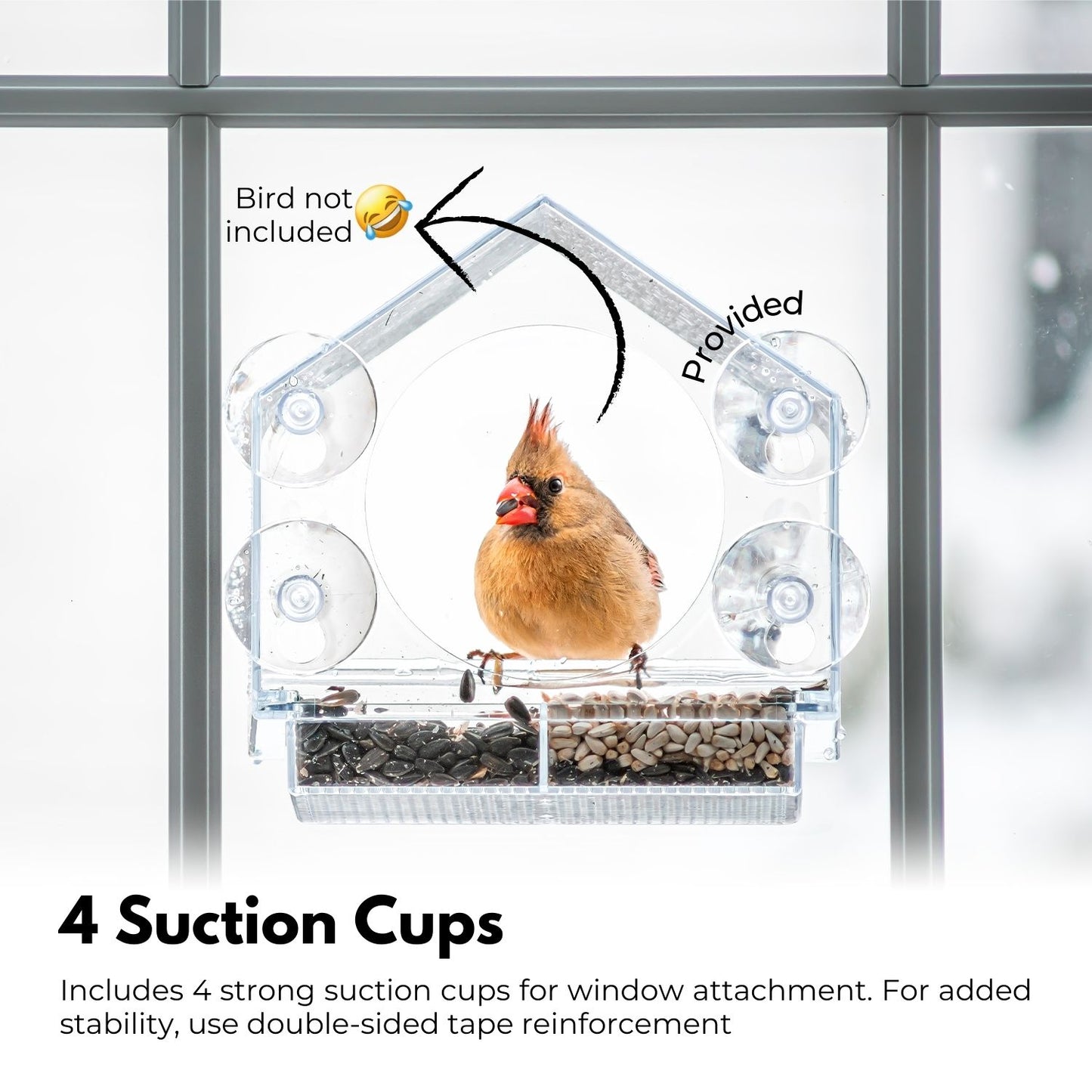 NOVEDEN Window Bird Feeder with Removable Tray Drain Holes and 4 Suction Cups (Transparent) NE-WBF-100-HSXY