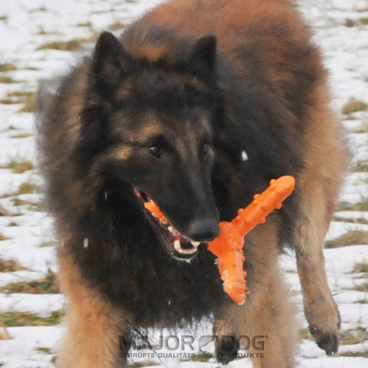 Major Dog Whirl Fetch Toy - Large - Mega Pet Store