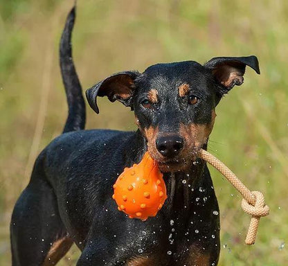 Major Dog Swimming Eddy Floating Fetch Toy with Handle - Large - Mega Pet Store