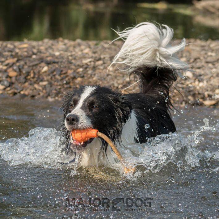 Major Dog Swimming Eddy Floating Fetch Toy with Handle - Large - Mega Pet Store