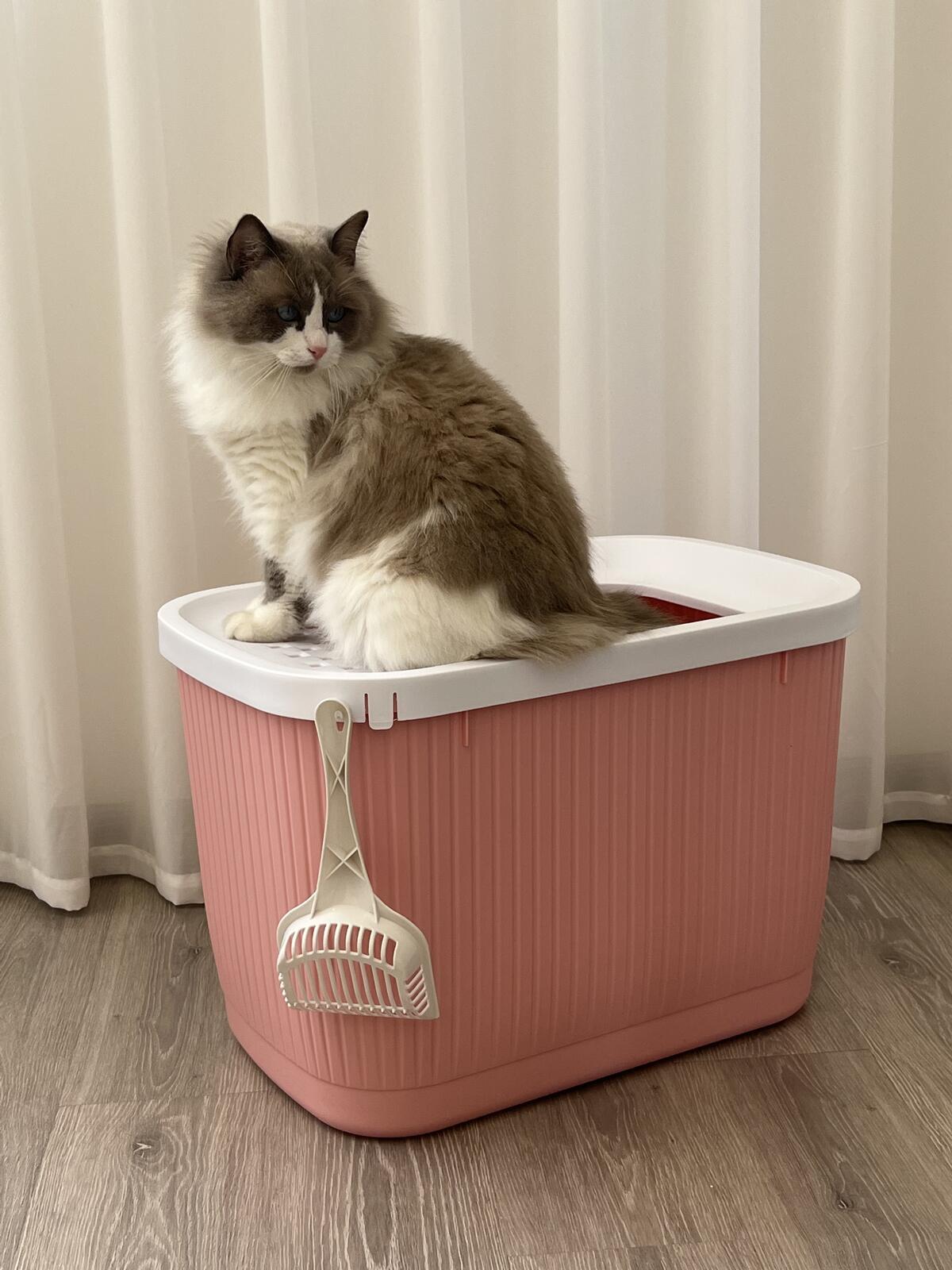 YES4PETS XXL Top Entry Cat Litter Box No Mess Large Enclosed Covered Kitty Tray Pink - Mega Pet Store