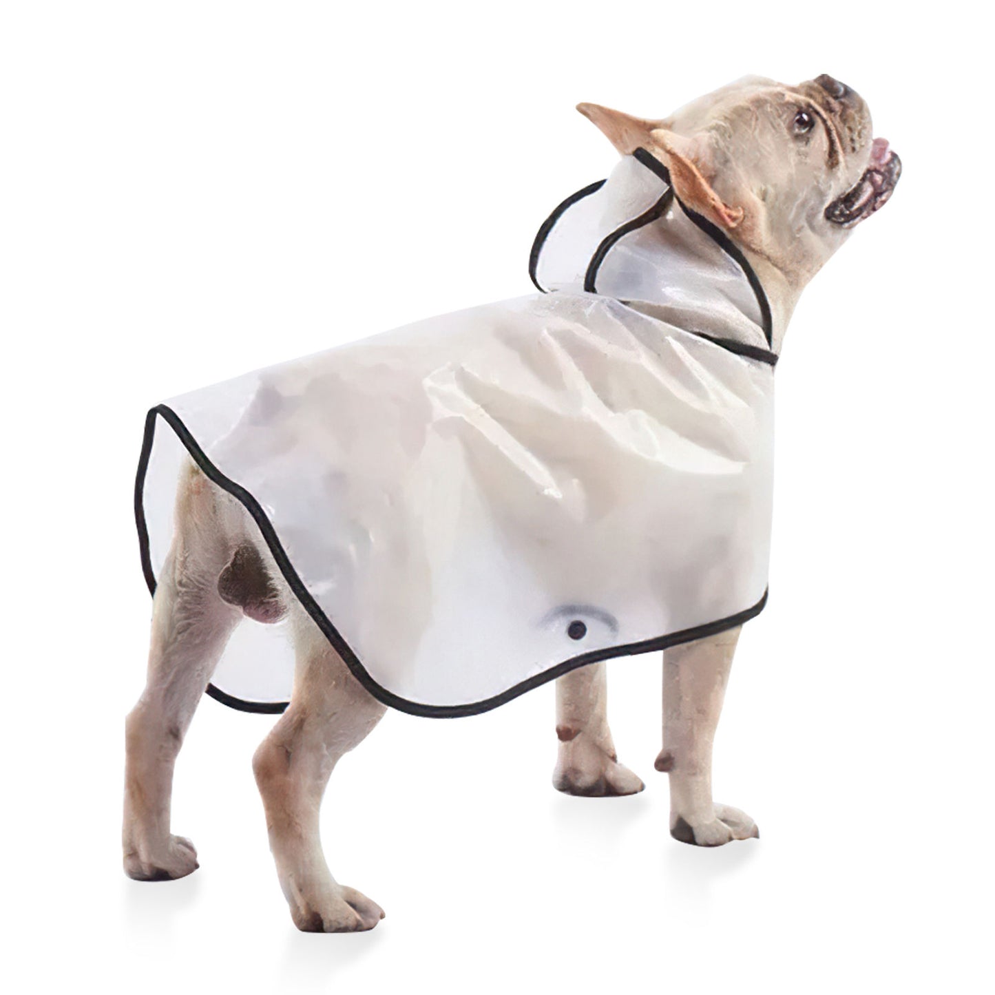 Pawfriends TPU Transparent Pet Cape Raincoat Large Dog Teddy Fado Koki Dog Dog Clothing L