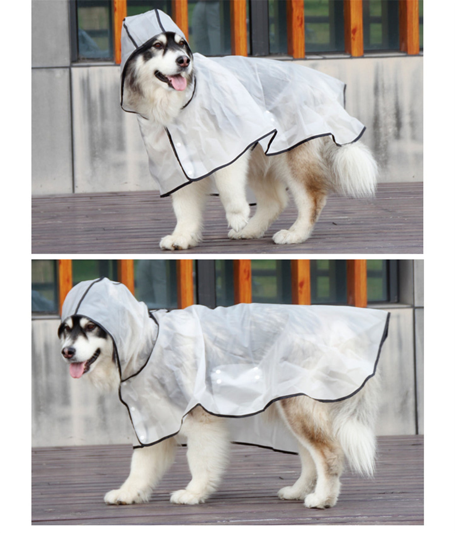 Pawfriends TPU Transparent Pet Cape Raincoat Large Dog Teddy Fado Koki Dog Dog Clothing L