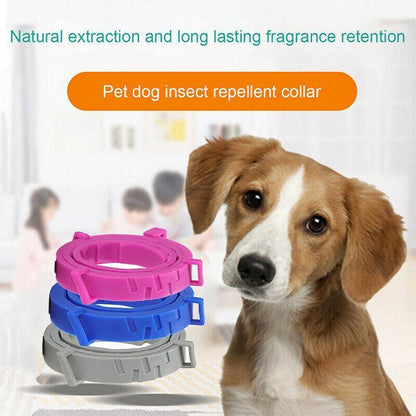 Short Adjustable Pet Anti Flea Tick Neck Collar For Dog Cat Kitten 8 Months Protect - Blue