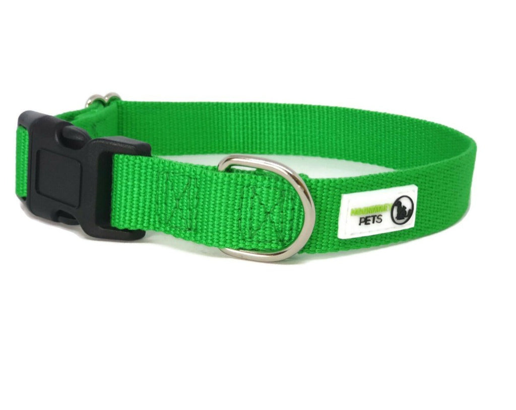 100% Pure Bamboo Fibre Dog Collar Plastic Buckle - Moondidley Pets Large Green