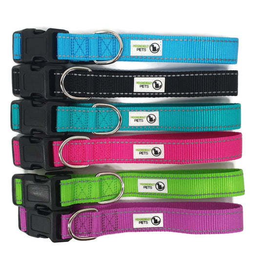 Nylon w/Reflective Stitching Dog Collar Large Turquoise - Moondidley Pets - Mega Pet Store