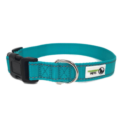 Nylon w/Reflective Stitching Dog Collar Small Turquoise - Moondidley Pets - Mega Pet Store