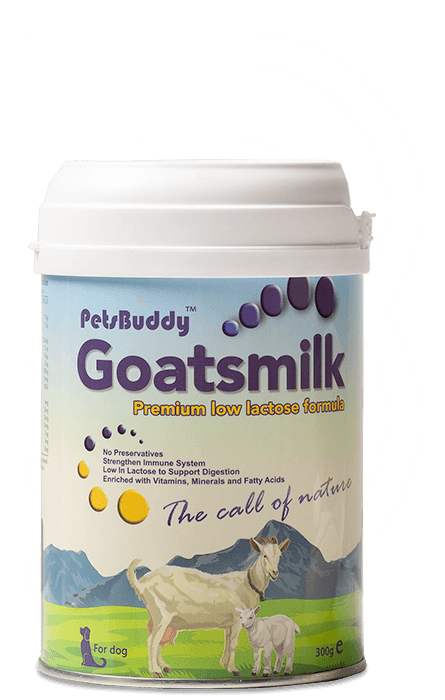 PetsBuddy Goatmilk Premium Low Lactose Formula For Dog 300g - Mega Pet Store