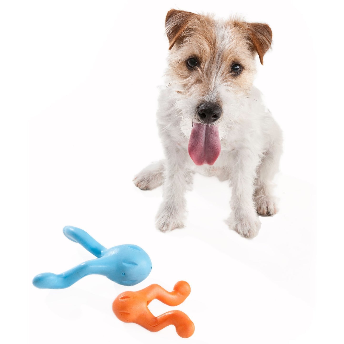 West Paw Tizzi Tug & Fetch Treat-Dispensing Dog Toy