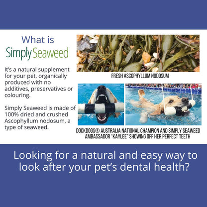 Simply Seaweed Natural Dental Health Care Supplement for Cats & Dogs